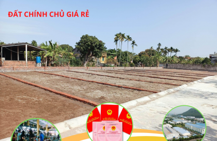 Bán đất ngoại thành phía nam Hà Nội sổ đỏ chính chủ, diện tích 80m2 full thổ cư đường rộng 5m